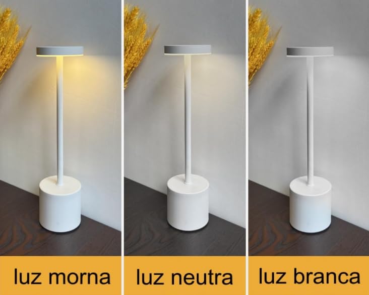 Abajur Minimalista Moderno Led Recarregável Luminária em Metal e Acrílico 3W Bateria 1800mAh (Dourado)